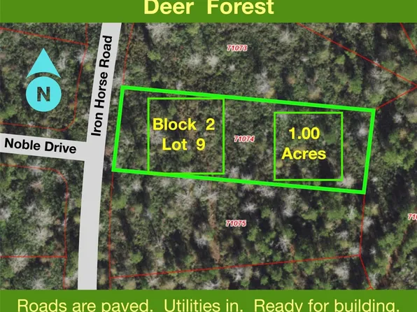 242 Iron Horse Rd Lot 9, New Waverly, TX 77358