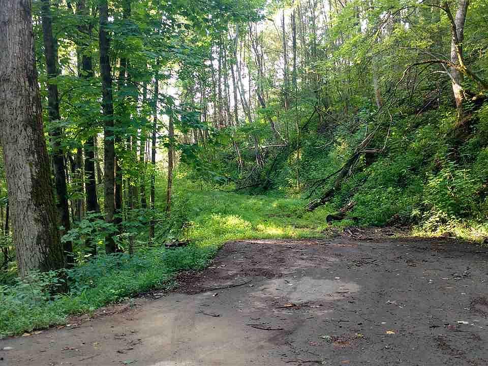 1st image of Lady Slipper Ln