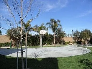 Basketball Court