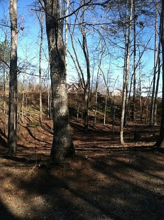 2nd image of 179 Bluff Creek Ln