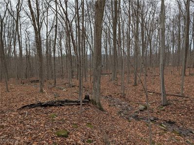 Thwing Rd, Chardon, OH, 44024