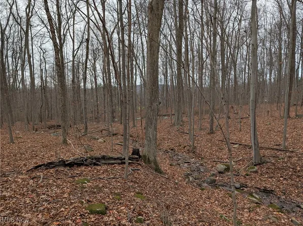 Thwing Rd, Chardon, OH 44024