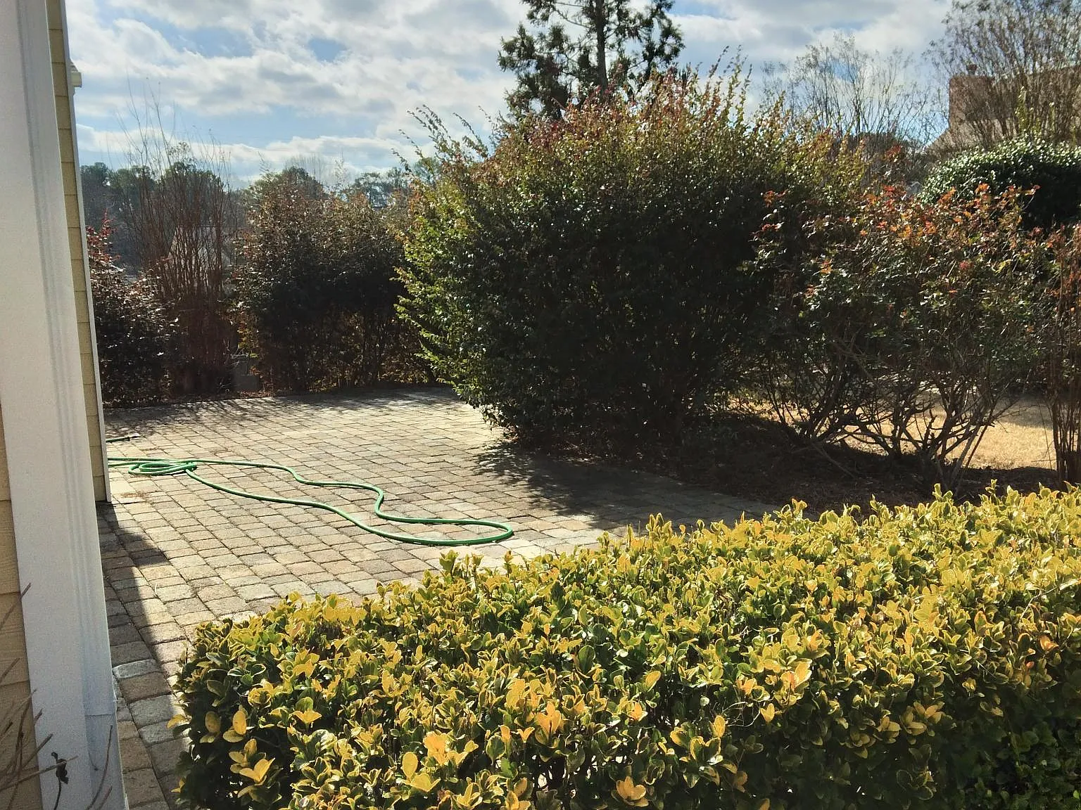 3 bed, 1662 sqft, $2,250 — Photo 4