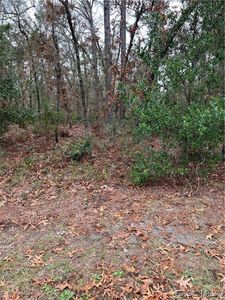 36 Cyclamen Ct, Homosassa, FL, 34446