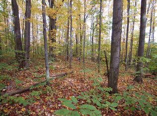 000-41 1/2, Manton, MI 49663