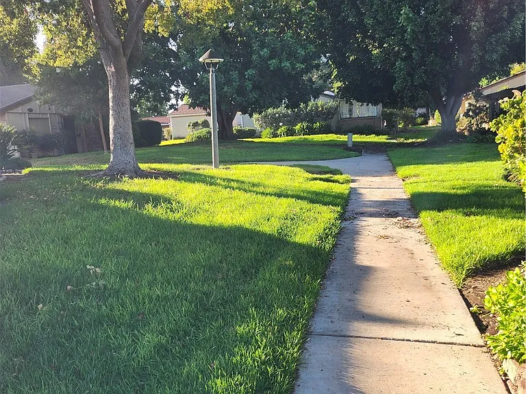 3173 Via Vis #A — Photo 3