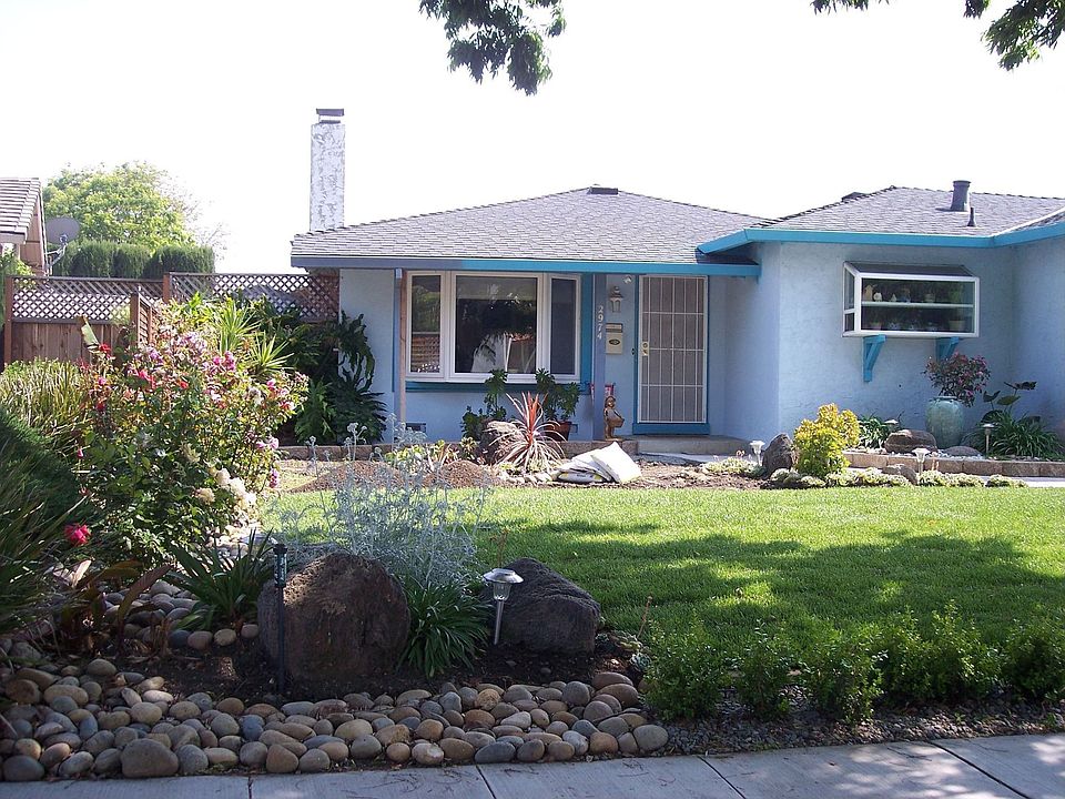 New lawn /garden