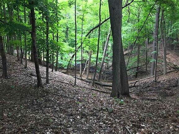 3rd image of Edgewood Ln