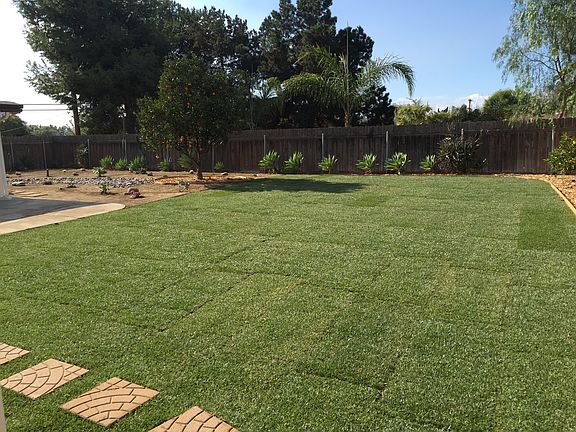 Large grass area for kids
