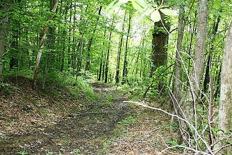 2nd image of Beech Hollow Rd