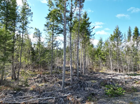 Off Medway Road, Mattawamkeag, ME 04459