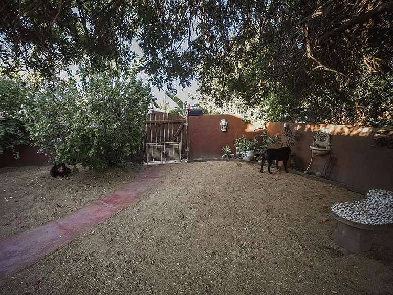 Front yard