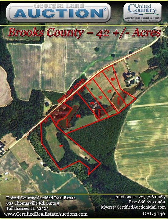 Georgia Land Auction Georgia Real Estate Auction and Georgia Land For Sale