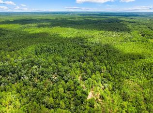 Water Rd Lot 2401, Clermont, FL 34714