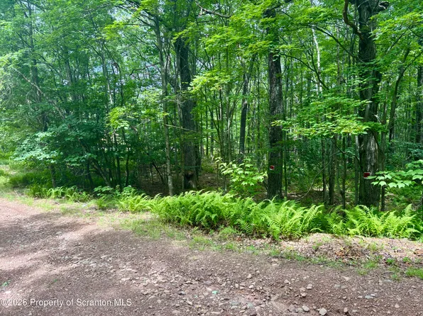 Forest Ln, Archbald, PA 18403