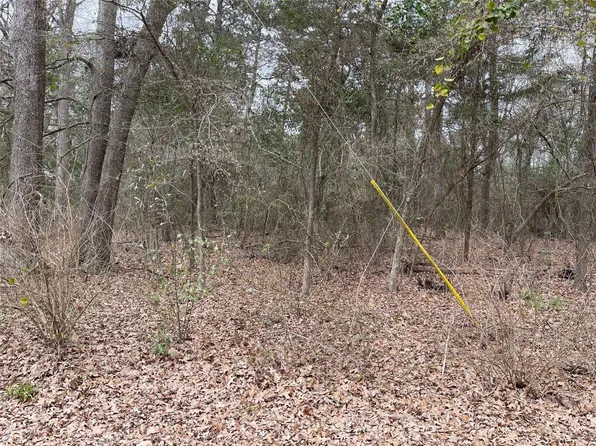 LOT 308 Daffodil Ln, Mount Vernon, TX 75457