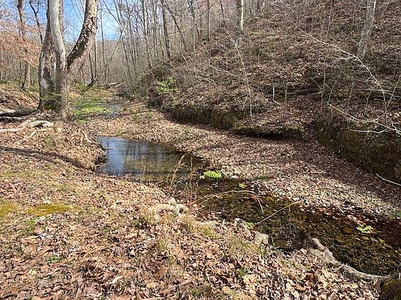 8th image of 6223 Bell Branch Trl