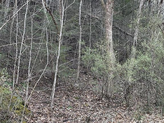 5th image of 439 Caney Creek Rd Lot 0
