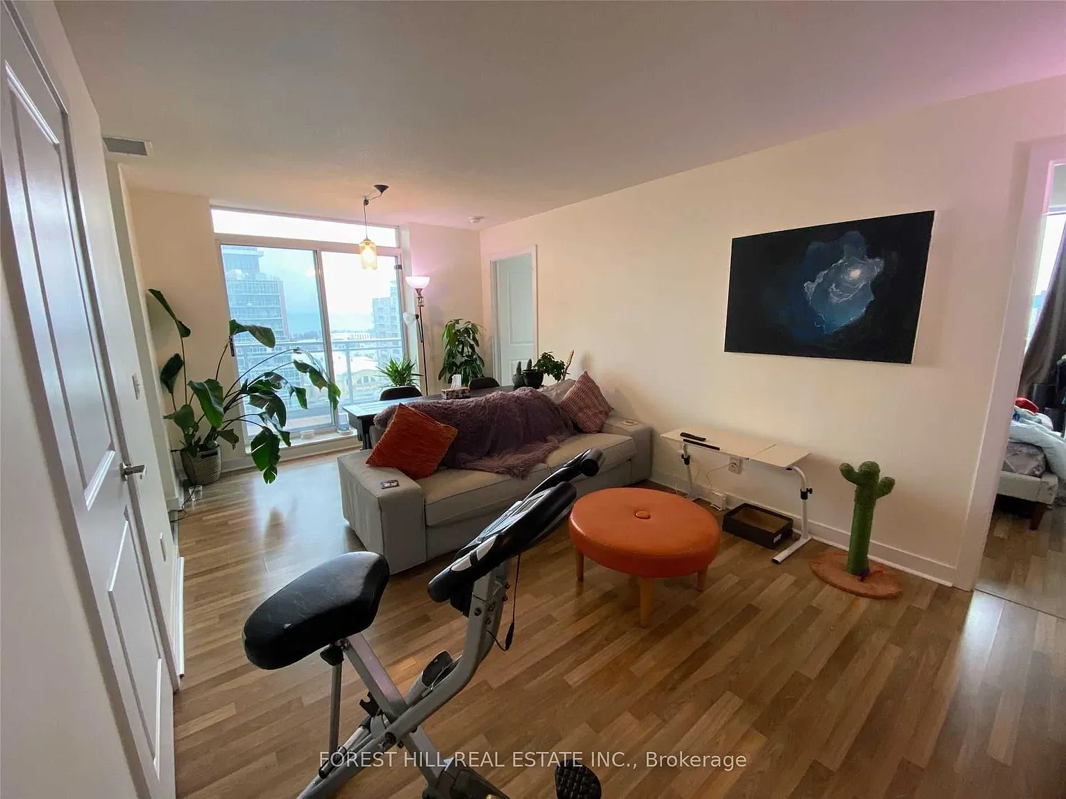 50 Lynn Williams St — Photo 2