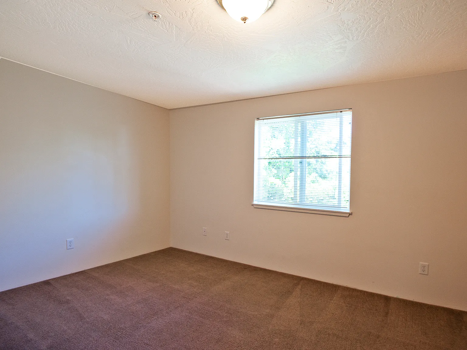 Oak Leaf Village — Photo 3
