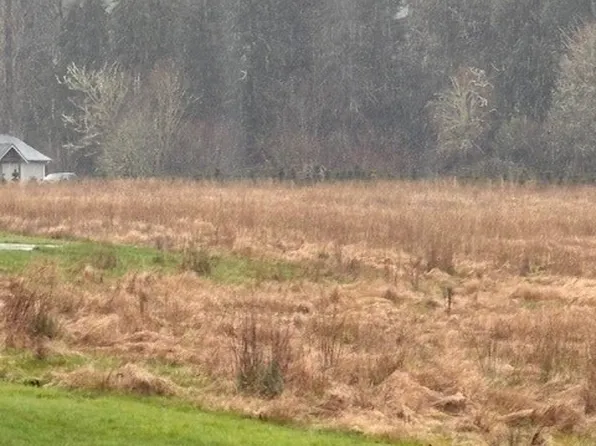 102 Maulwee Drive, Silver Creek, WA 98585