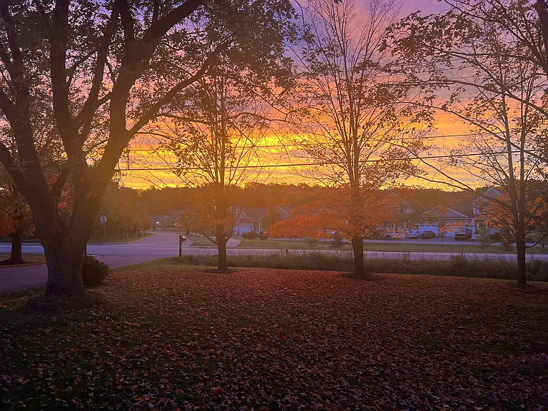 Picturesque sunrises