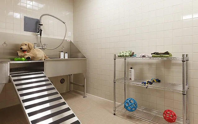 Rented by Lisa Management | media 8