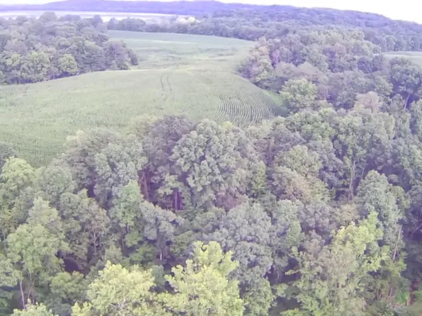 Friends Creek Rd, Loogootee, IN 47553