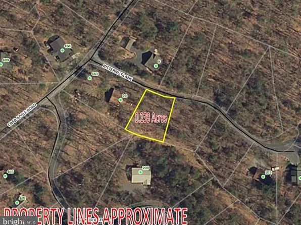 0 Bitternut Ln #554, Mount Jackson, VA 22842