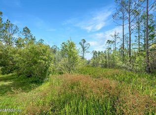 1657 Antler Trl S, Jacksonville, FL 32234