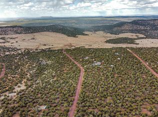 51 County Road 3199, Vernon, AZ 85940