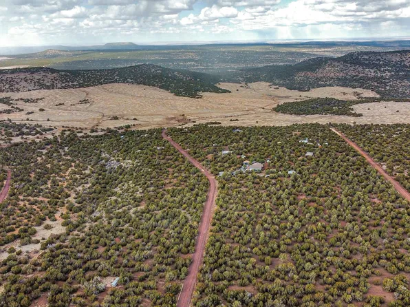 51 County Road 3199, Vernon, AZ 85940
