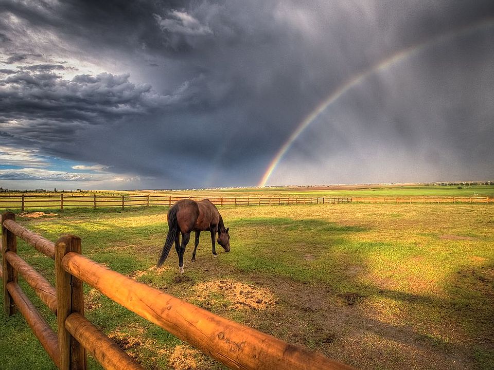 Beautiful Horse Property 