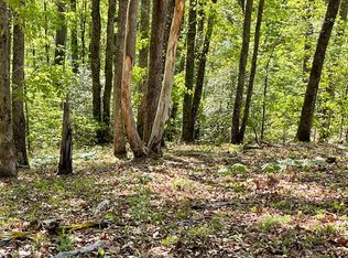 LOT 1C Lakewood Dr, Hayesville, NC 28904
