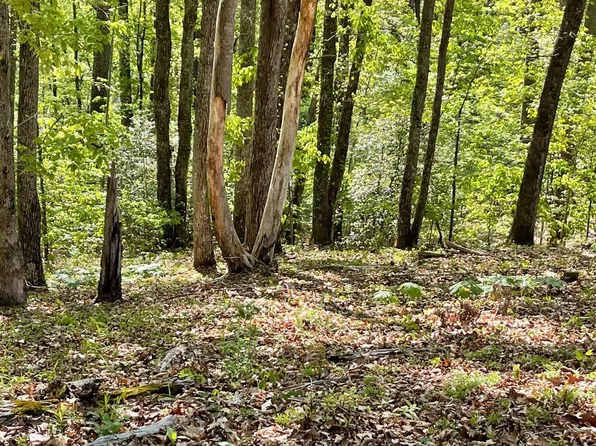 LOT 1C Lakewood Dr, Hayesville, NC 28904