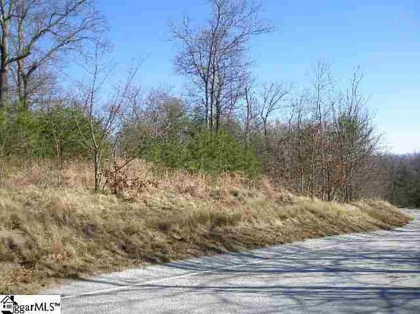 9 Granite Knob Way, Landrum, SC 29356