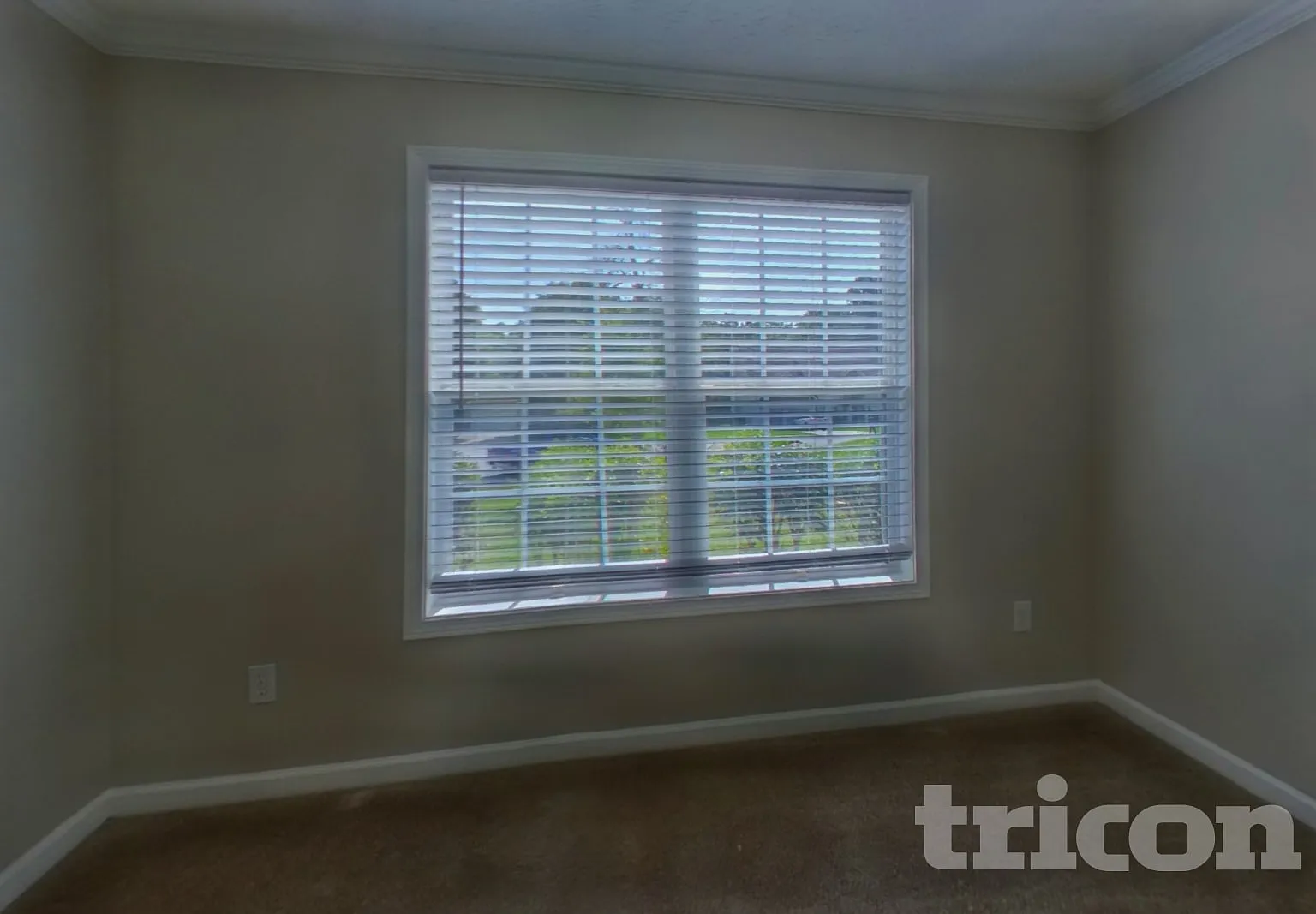 315 Avonlea Dr Covington GA — Photo 2