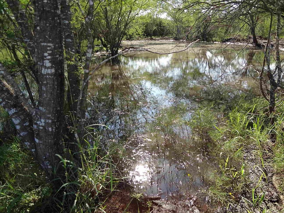 1st image of 7030 County Road 417