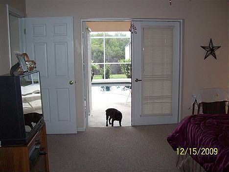 4th image of 6257 Roberta Dr