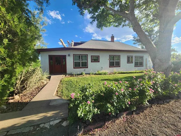 12467 Highway 65, Eckert, CO 81418