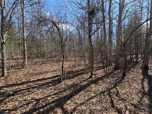 2nd image of LOT 8 Walton Furnace Rd