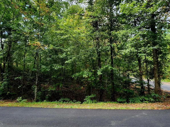 0 Waterview Dr #17, Spring City, TN 37381