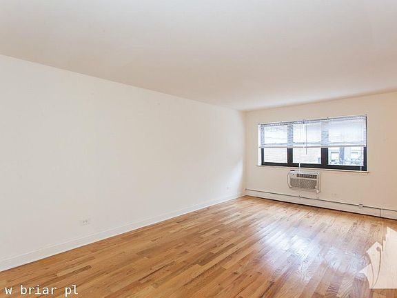 3rd image of 510 W Briar Pl #1323