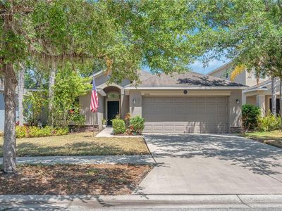 10510 Summer Azure Dr, Riverview, FL, 33578