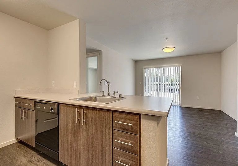 South Hill by Vintage — Photo 18