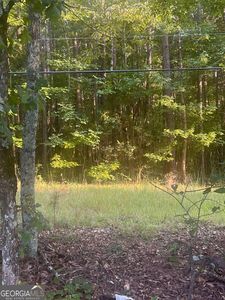 0 Taylorsville Rd, Aragon, GA, 30104