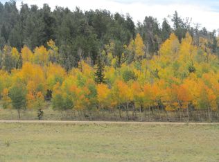 1293 La Plata Dr, Hartsel, CO 80449