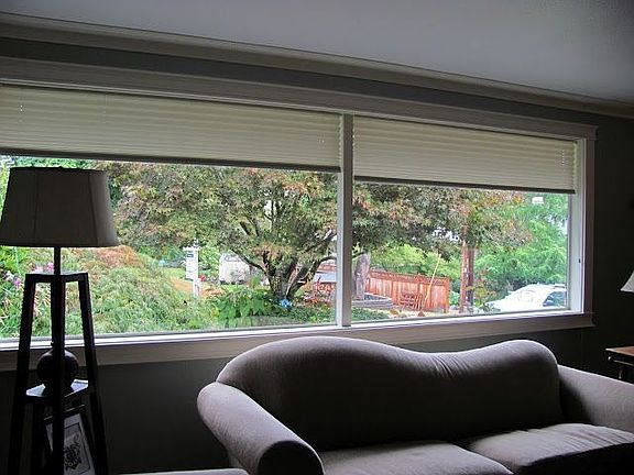 living room windows