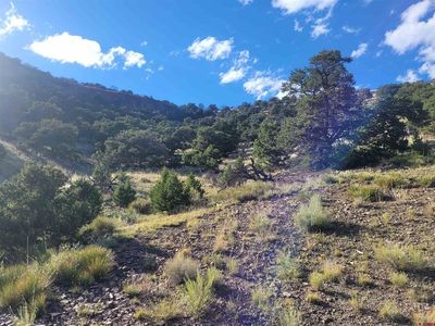 Parcel 1 County Road T, Saguache, CO, 81149