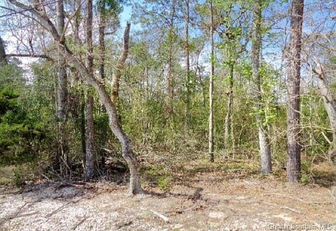2nd image of Smith Ferry Rd